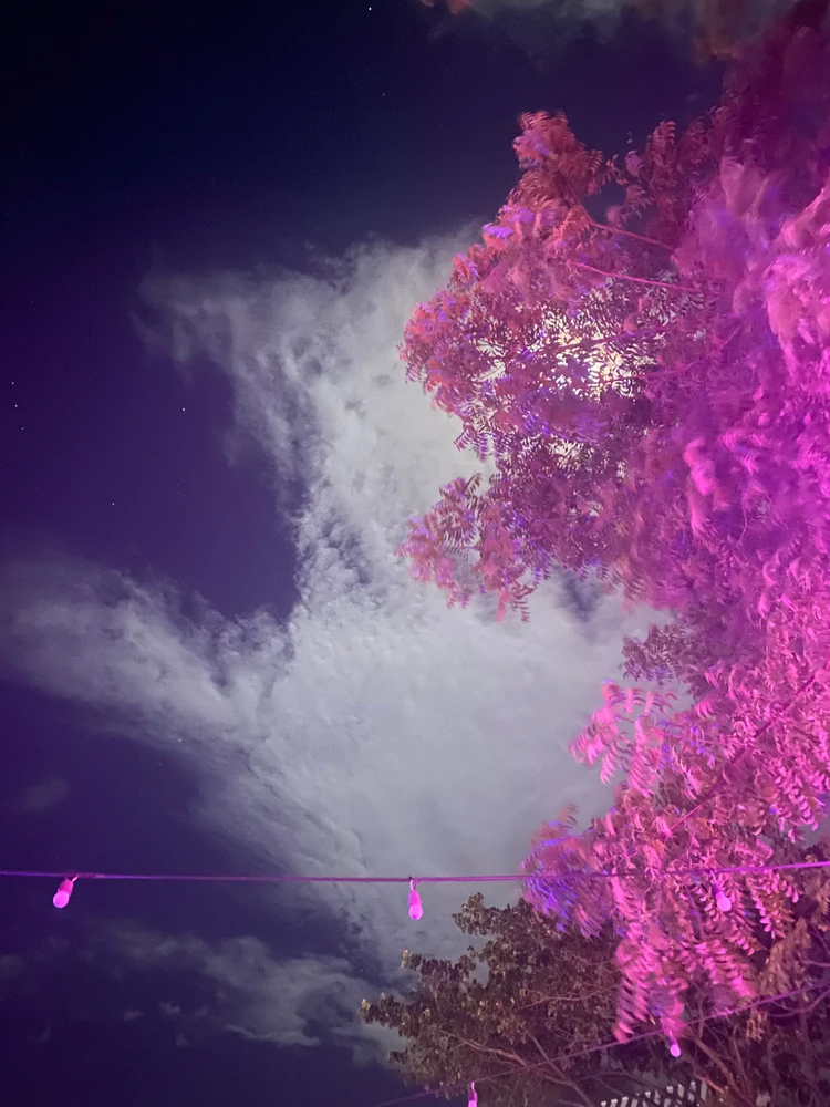 Image uploaded by Gazelle