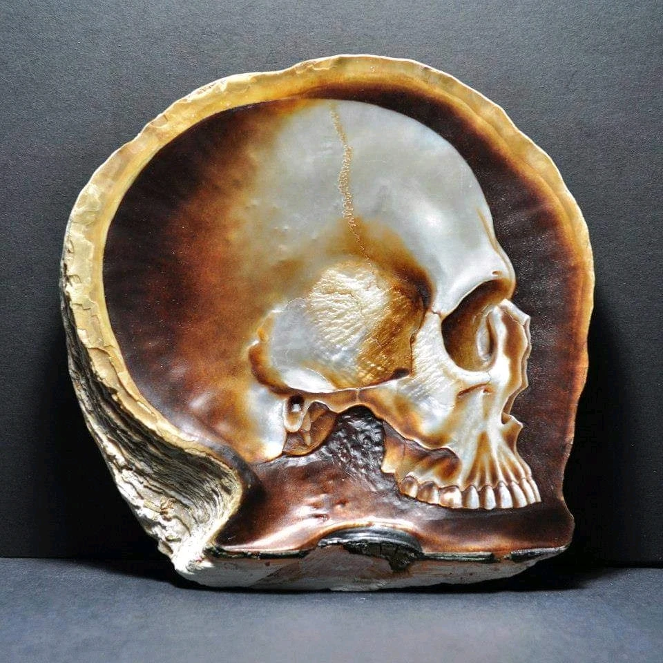 Bild hochgeladen von snir-art