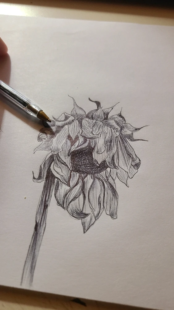 Immagine caricata da Noemi