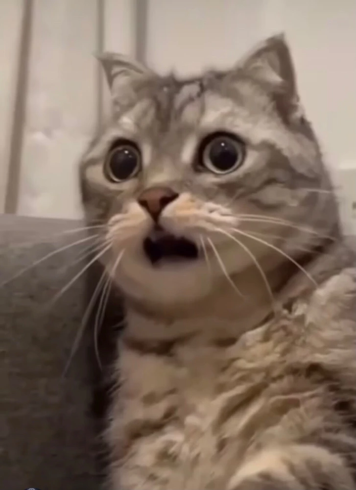 Immagine caricata da Jo