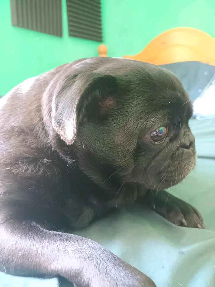 Image uploaded by River