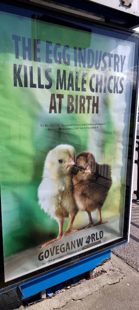 Image uploaded by Jess