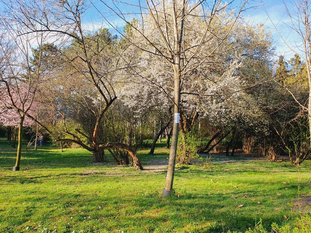 Image uploaded by Bia