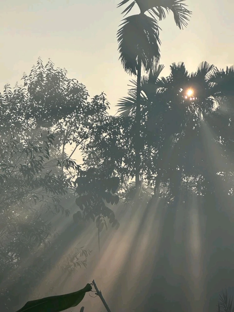 Nik দ্বাৰা আপলোড কৰা ছবি