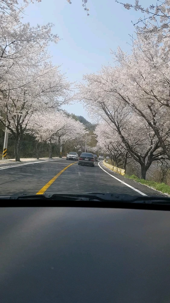 Image uploaded by Ivy