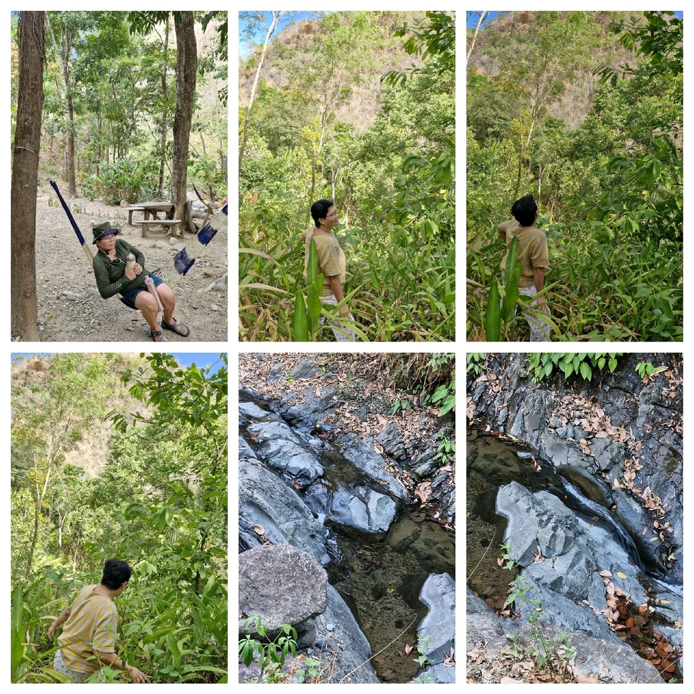 Obrázek nahrál Liza