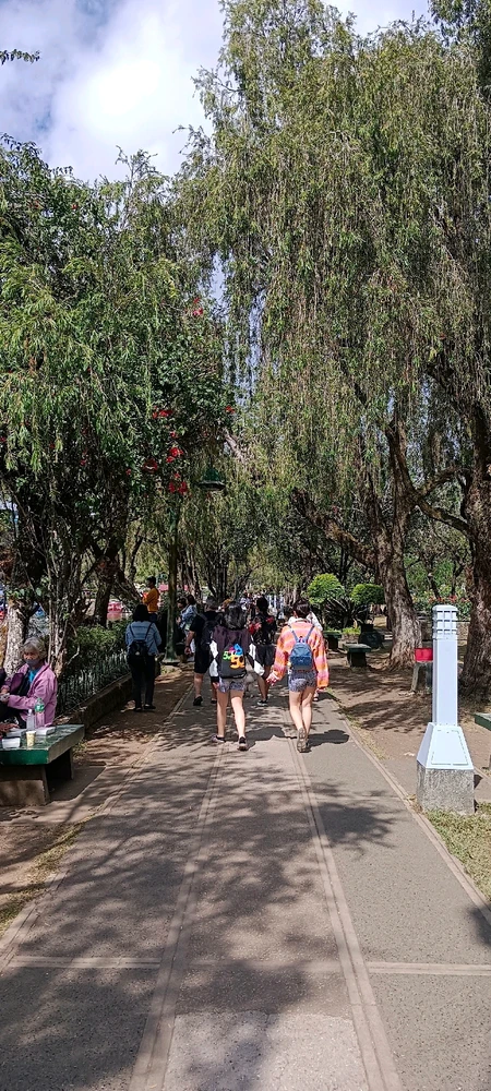 Image uploaded by n0e