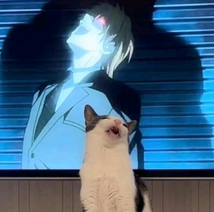 Imagen subida por María