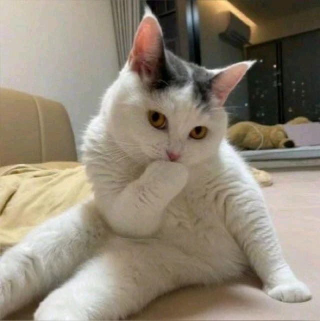 Image uploaded by Dani