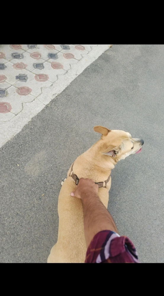 Image uploaded by Nitin