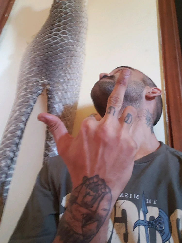 Imagem enviada por Matheus