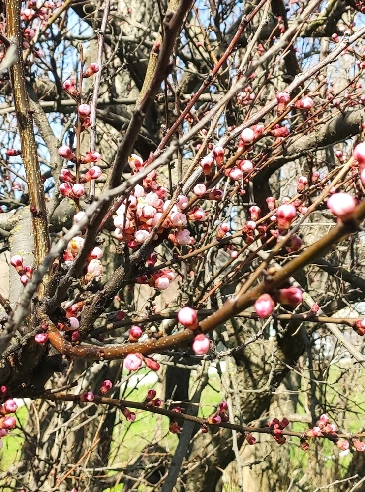 Зображення завантажив Olena