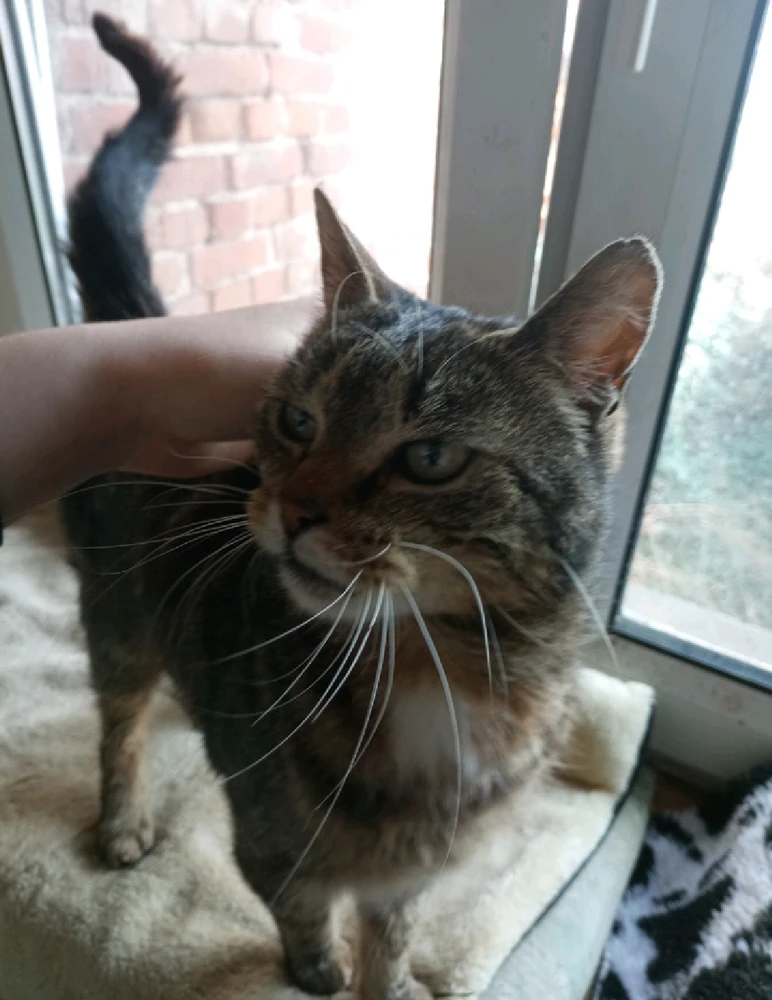 Bild hochgeladen von Lea