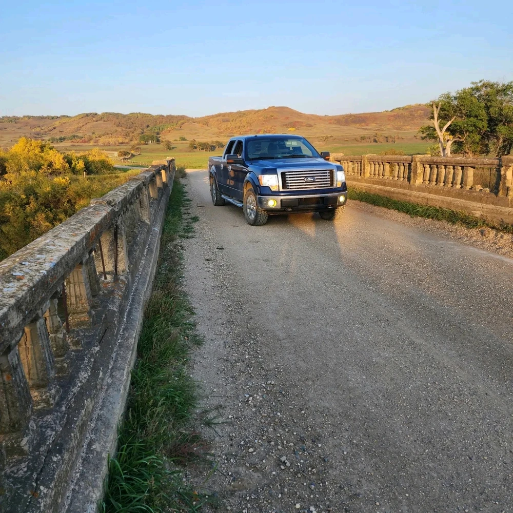 Image uploaded by 12pawsinn