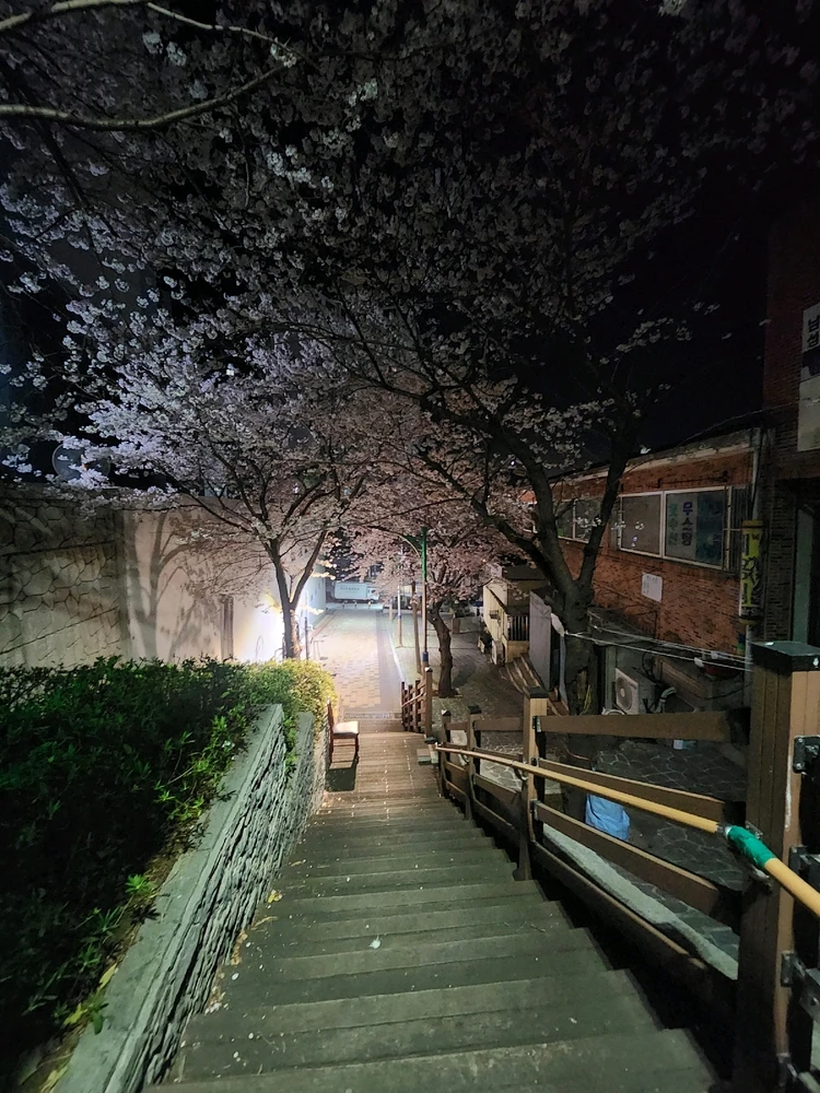 Lino님이 올린 사진