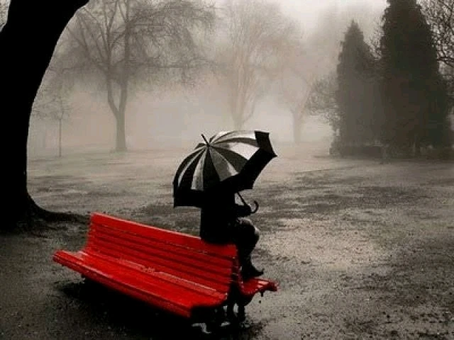 Image uploaded by Jessica Costa