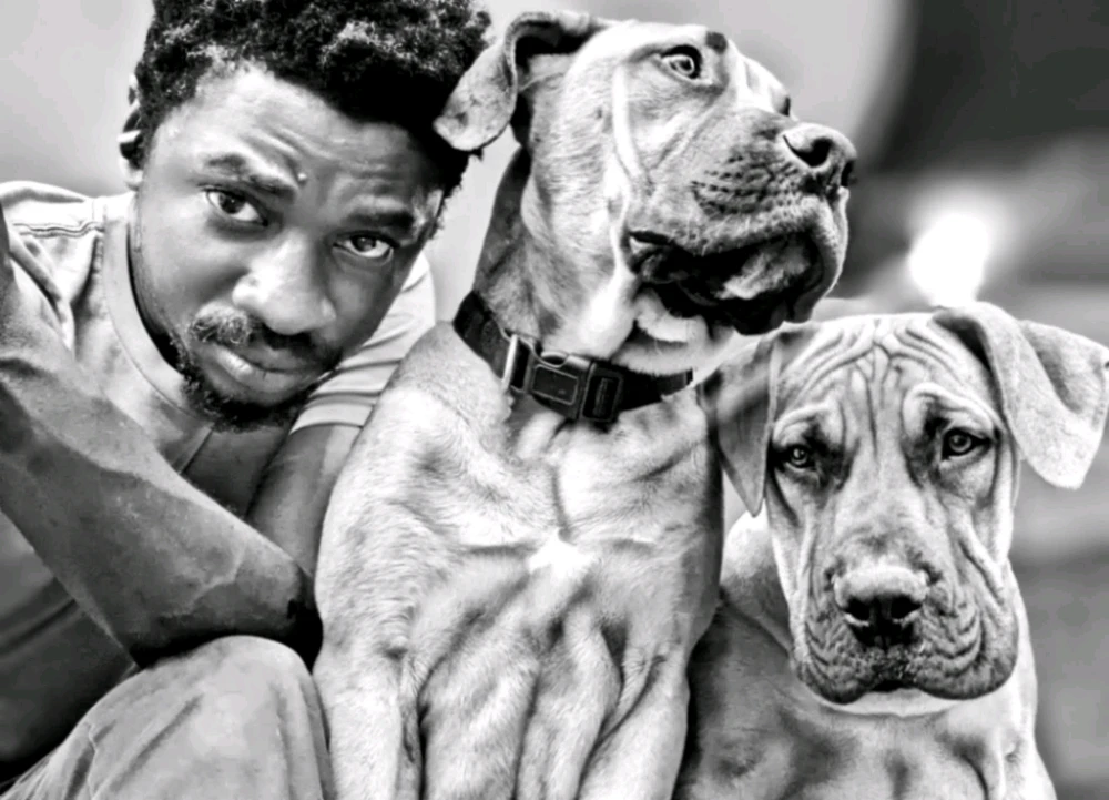 Image uploaded by Simba