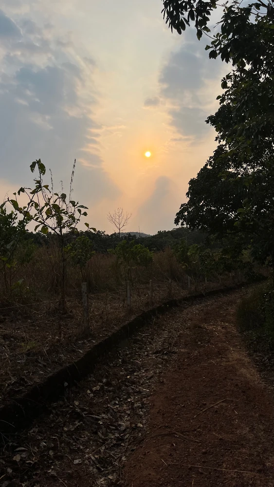 Image uploaded by John