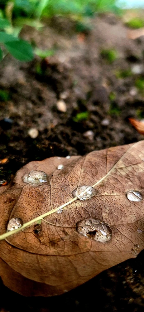 Bild hochgeladen von Phil