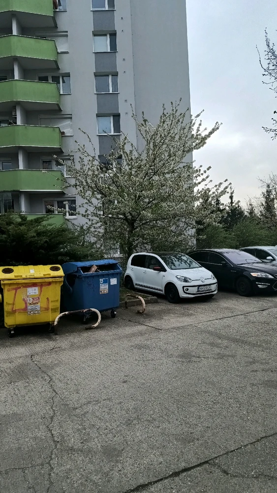 Gi-upload ni Vladislav Efimov ang hulagway