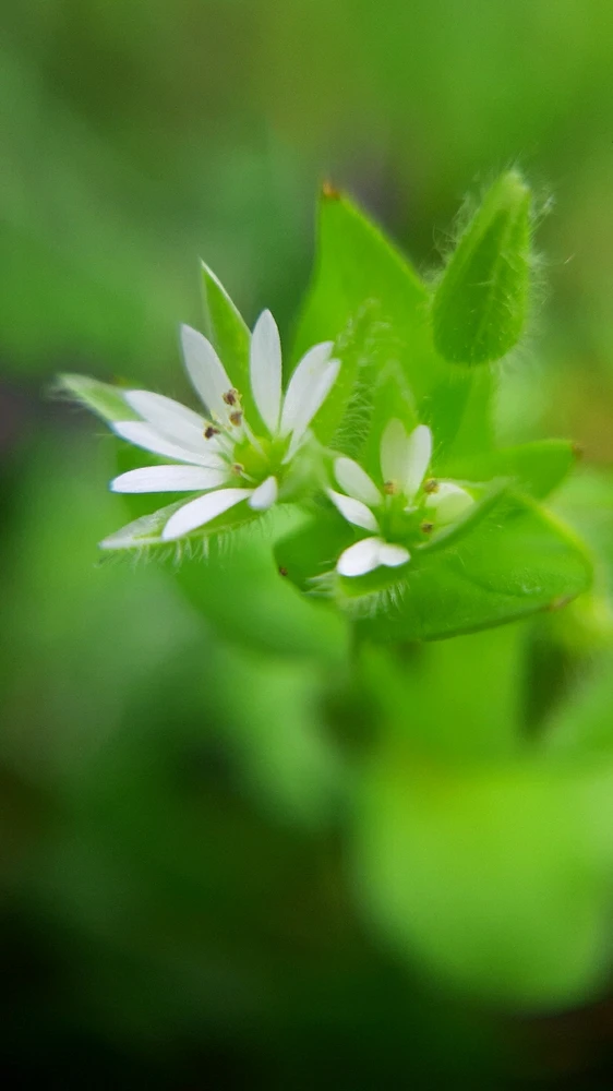 Image uploaded by Martina👽