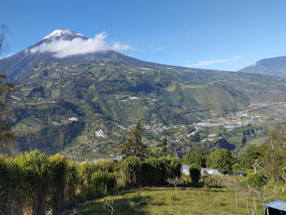 Image uploaded by Casique