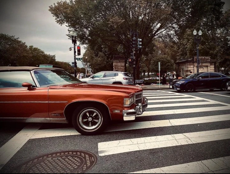 Immagine caricata da Alessandro