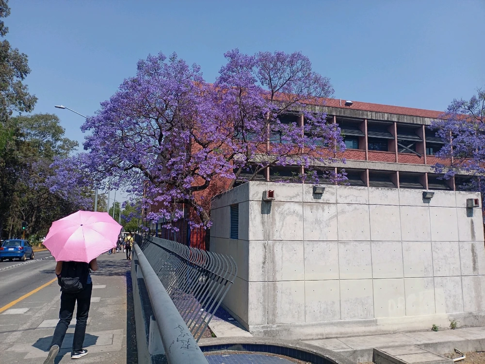 Imagen subida por Marcela