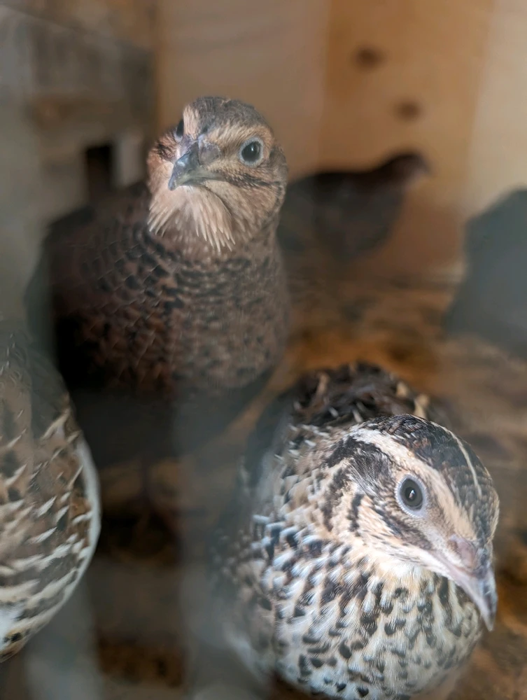 Image uploaded by Madison