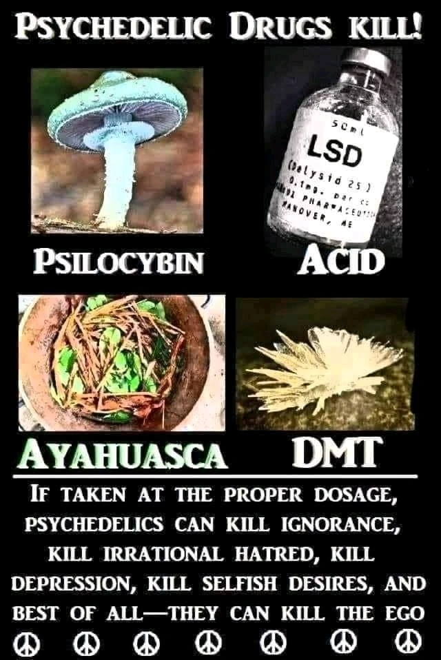 Image uploaded by Dro