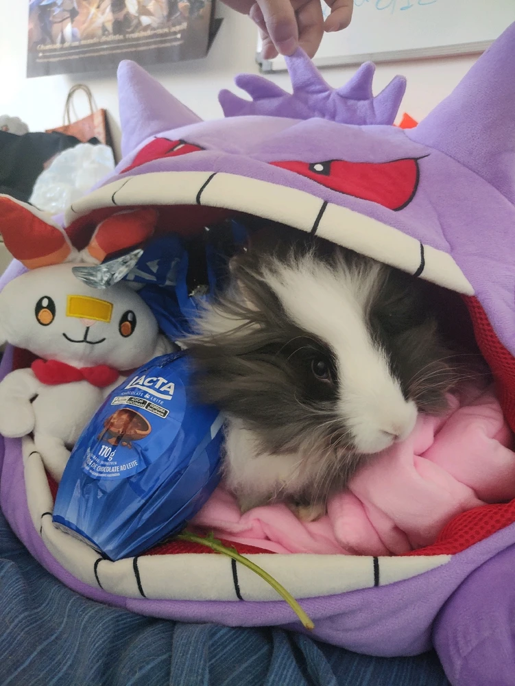 Imagem enviada por Yukina Tanemura