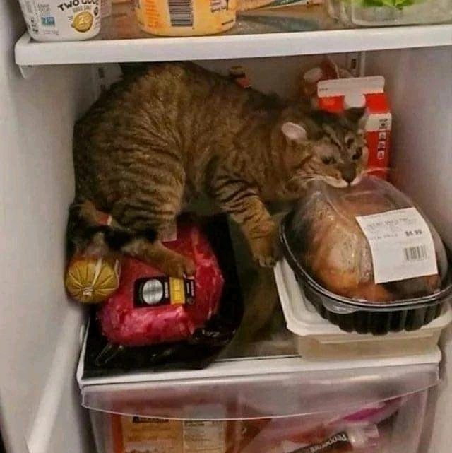 Image uploaded by May