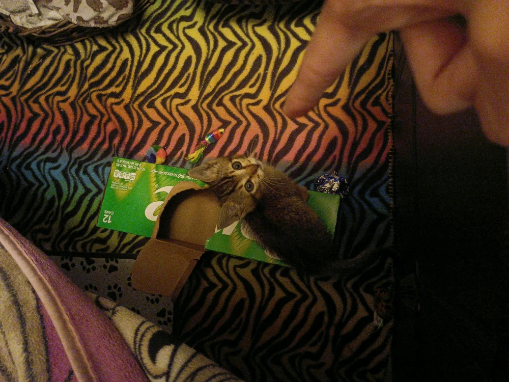 Image uploaded by Brandon