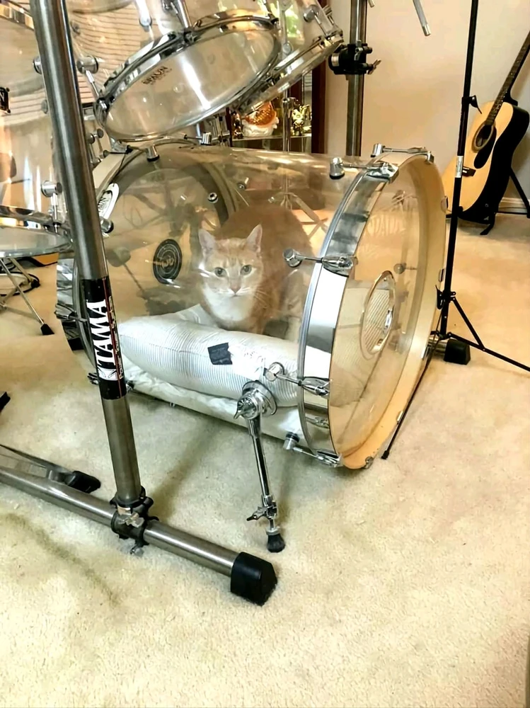 Image uploaded by May