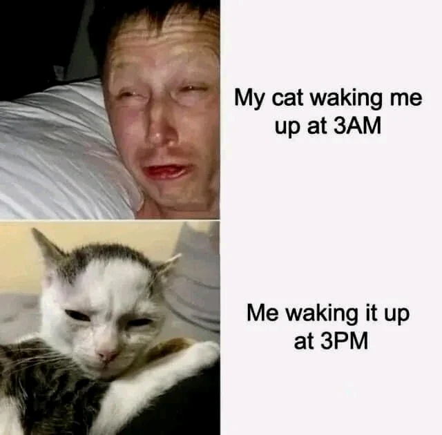 Image uploaded by May