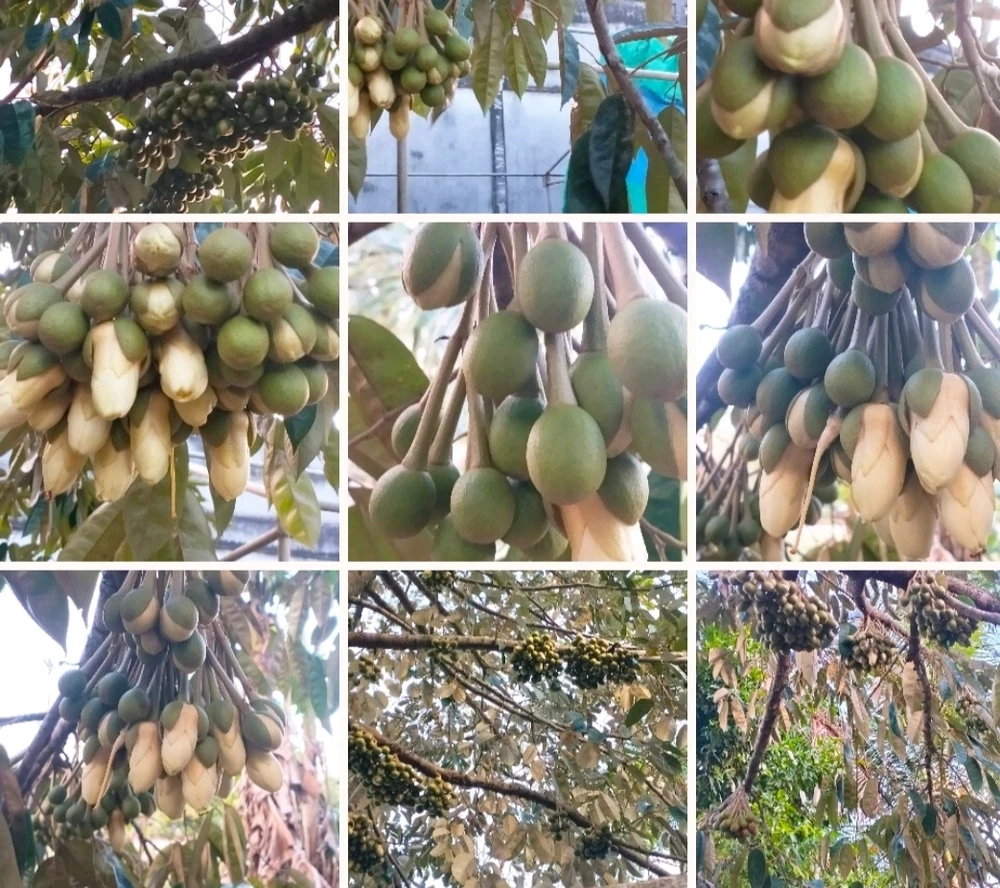 Gambar diunggah dening 🌷☘️ LOVE☘️🌷