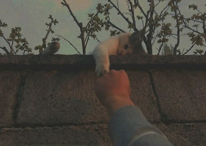 صورة رفعها Nour