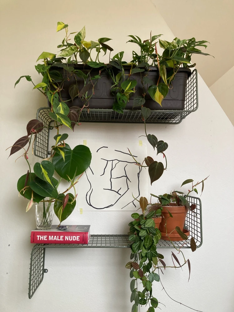 Obrázek nahrál Michael