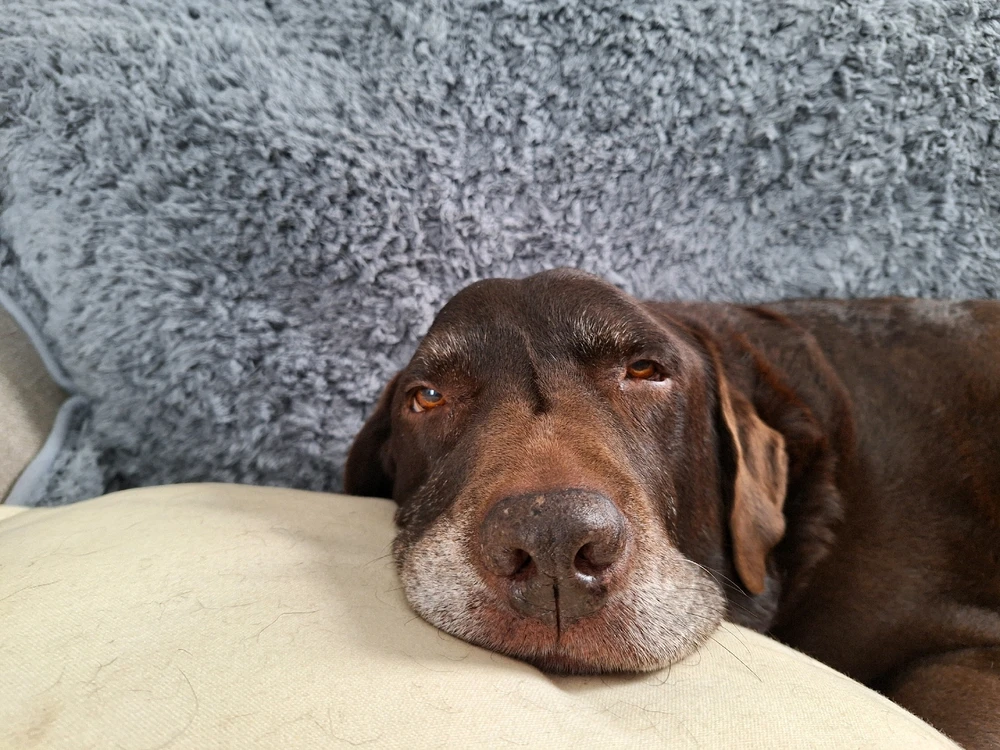 Image uploaded by James