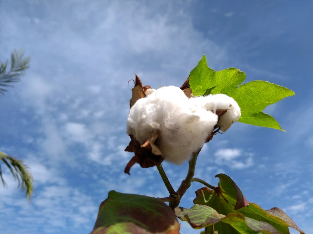 Imagem enviada por Poli