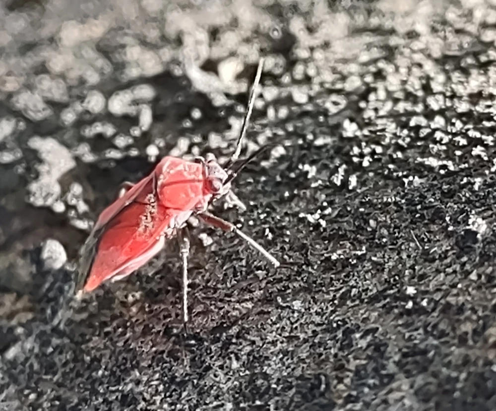 Gambar diunggah dening ད 𝙏𝙚𝙠-𝙀 ཌ