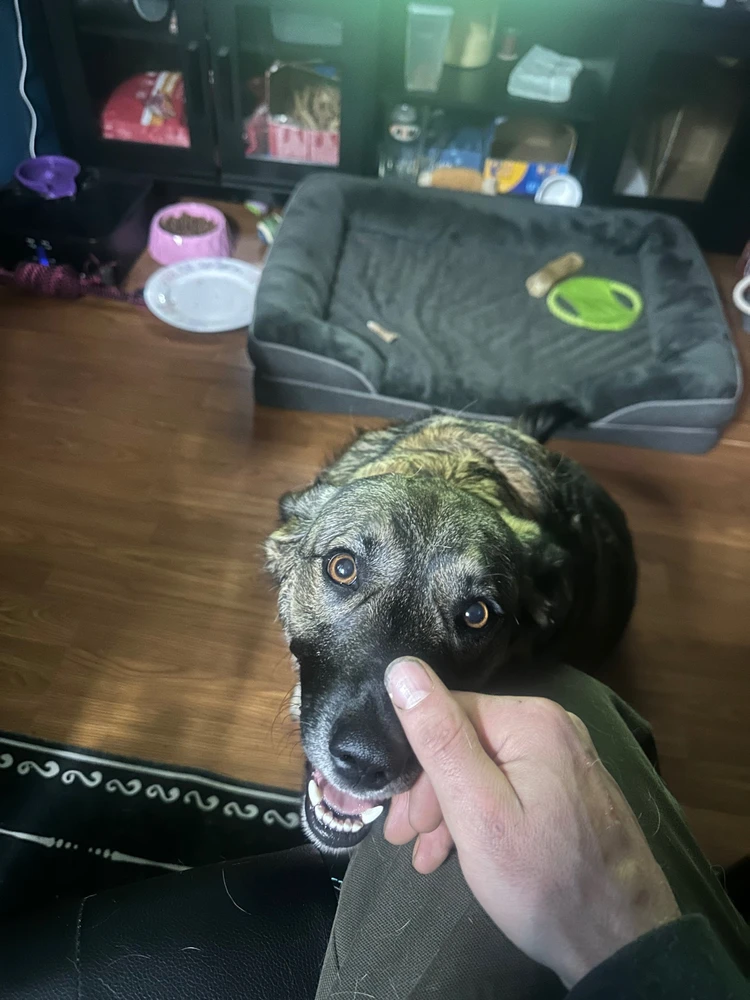 Image uploaded by GrimmsBlessed