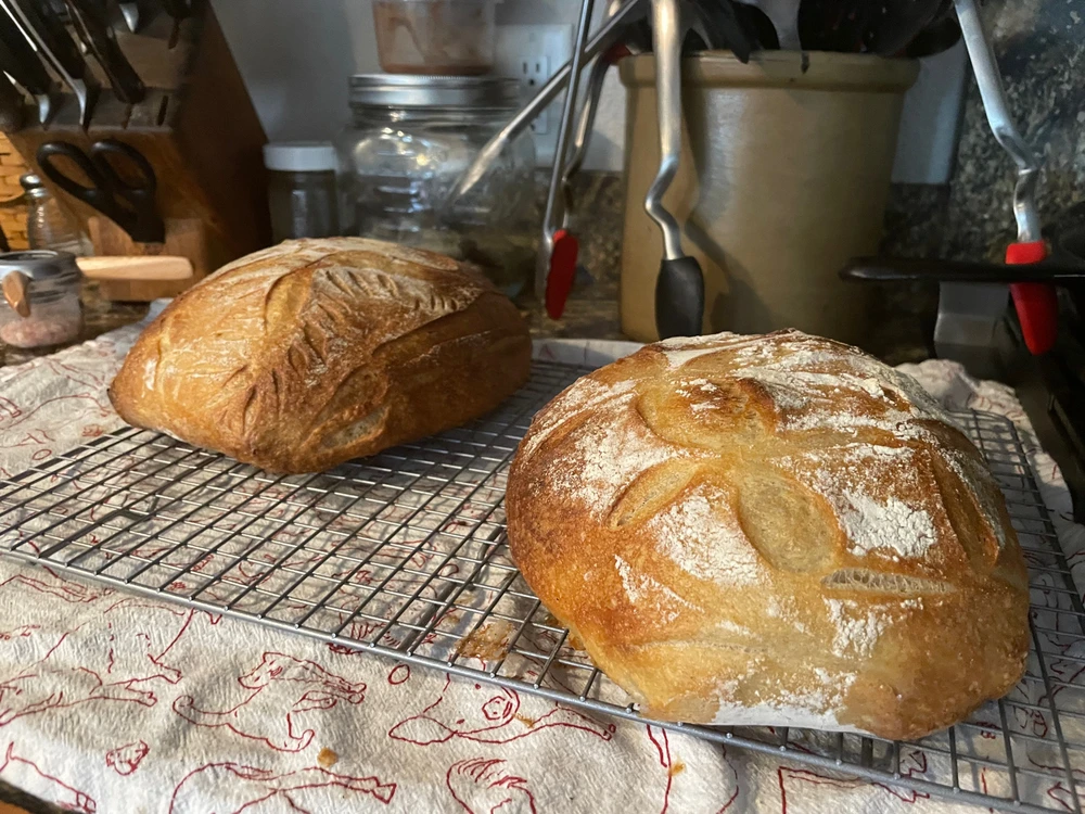 Image uploaded by Carson