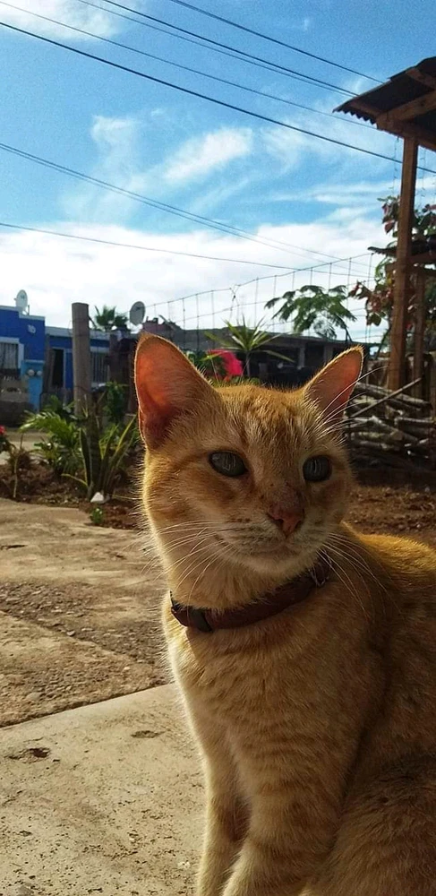 Imagen subida por Monse