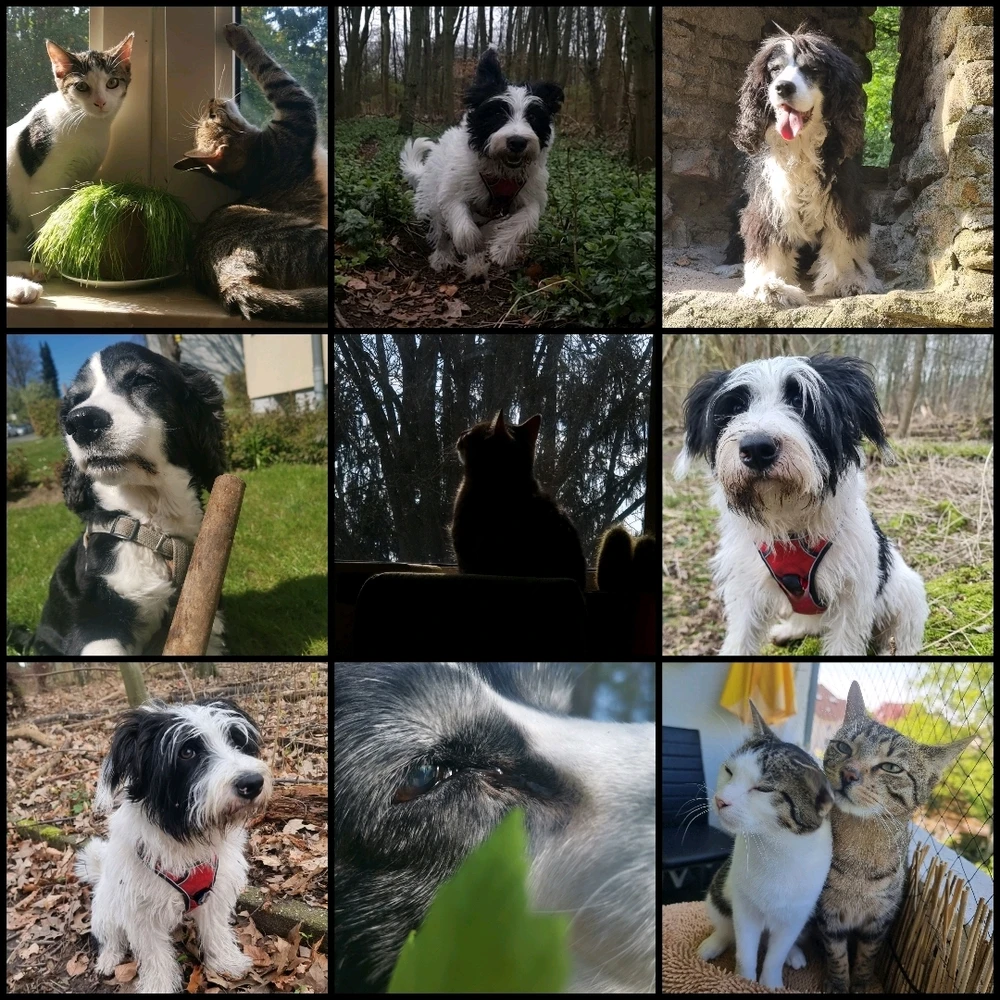 Bild hochgeladen von Yvonne