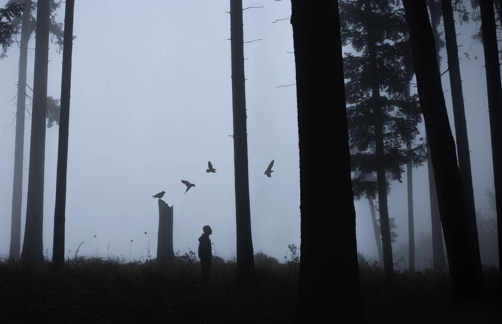 Obrázek nahrál Filip