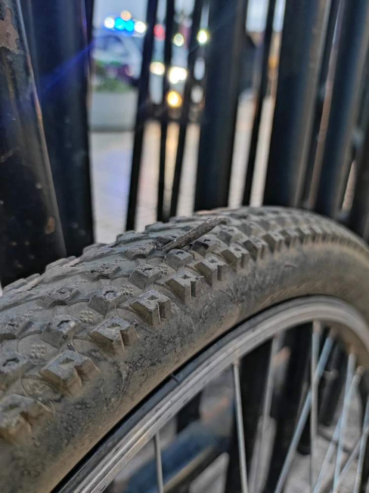 Imagen subida por Vicente