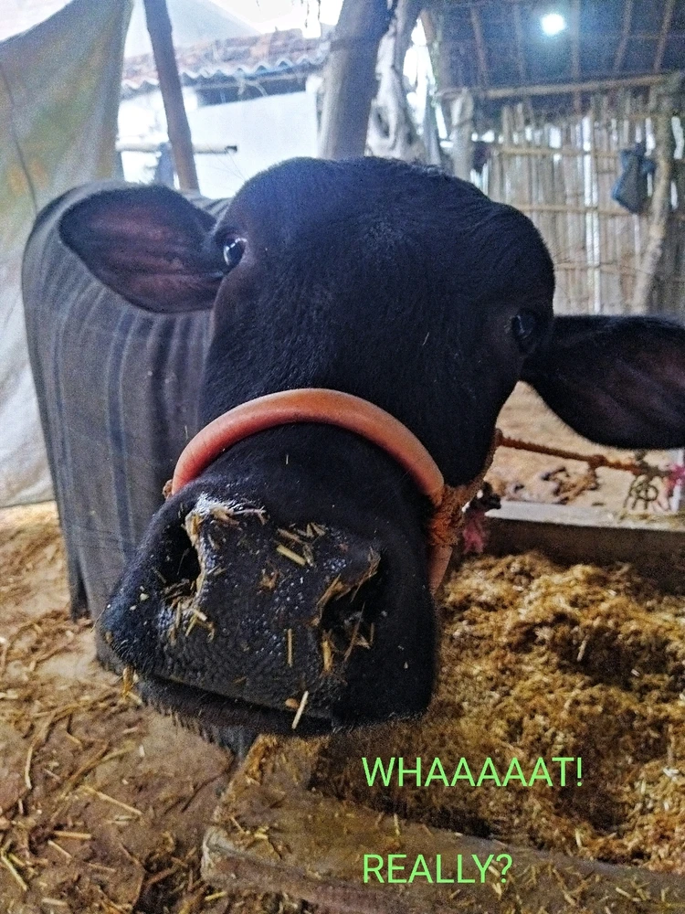 Image uploaded by Vikas