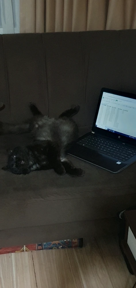 Image uploaded by Senja