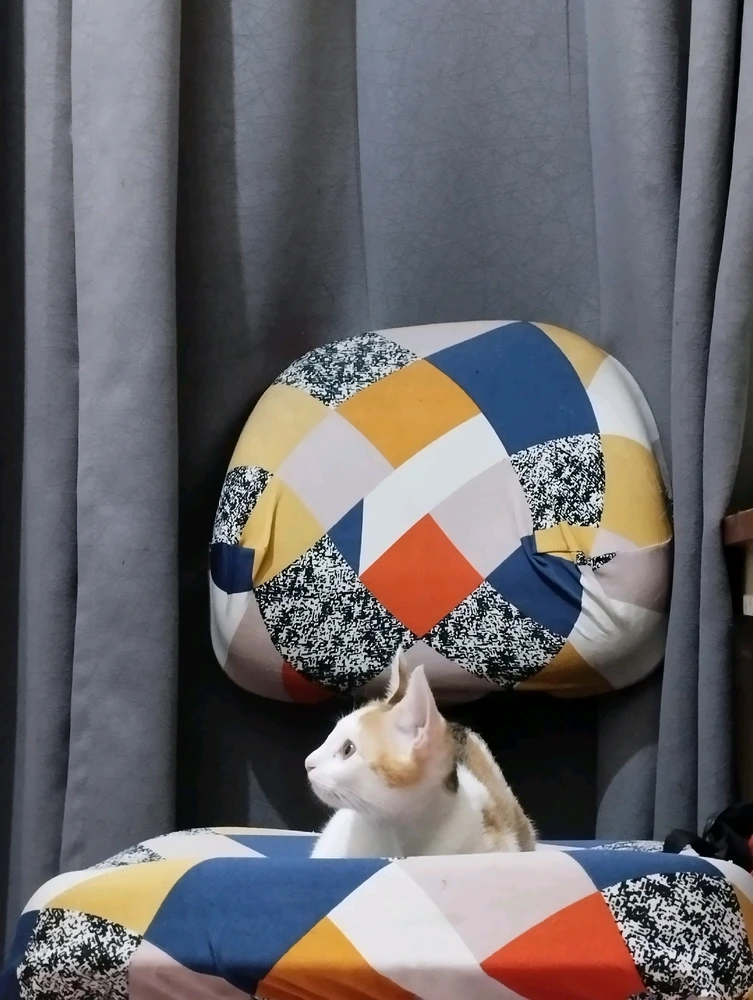 Image uploaded by ORyZa